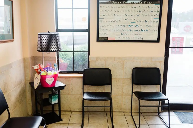 Hospital Tour Westside Animal Hospital