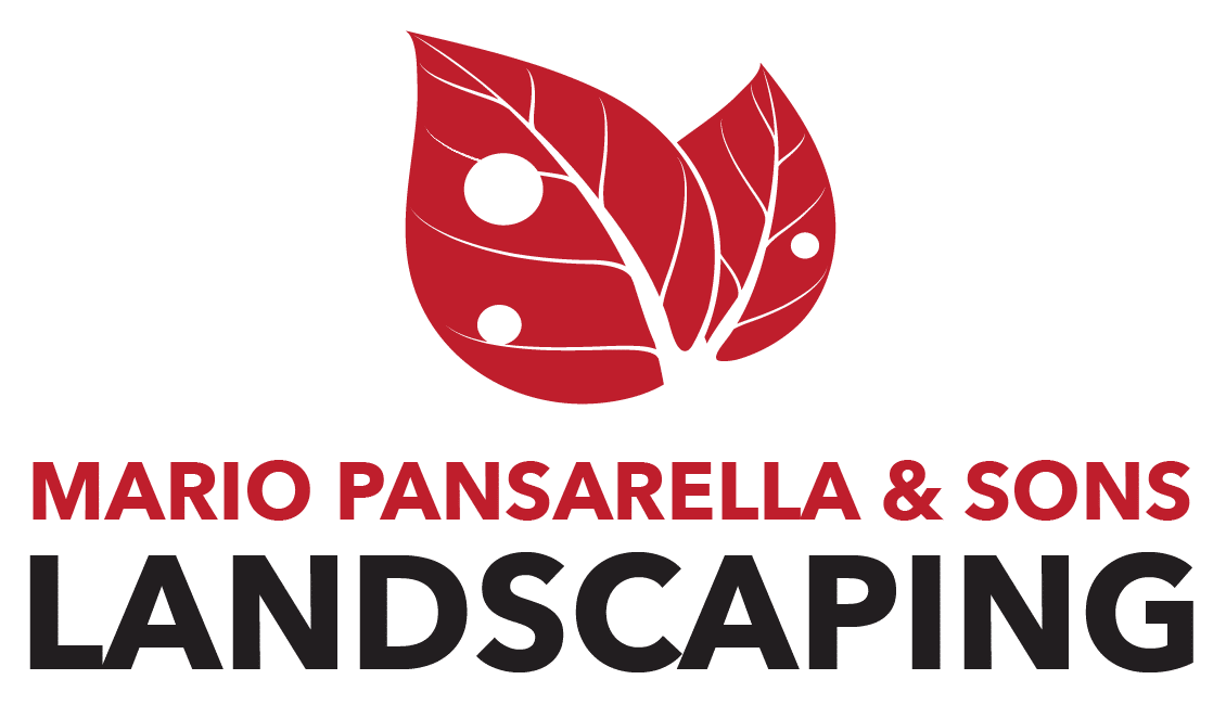 Landscaping company Ponds & Waterfalls Westchester land scaping