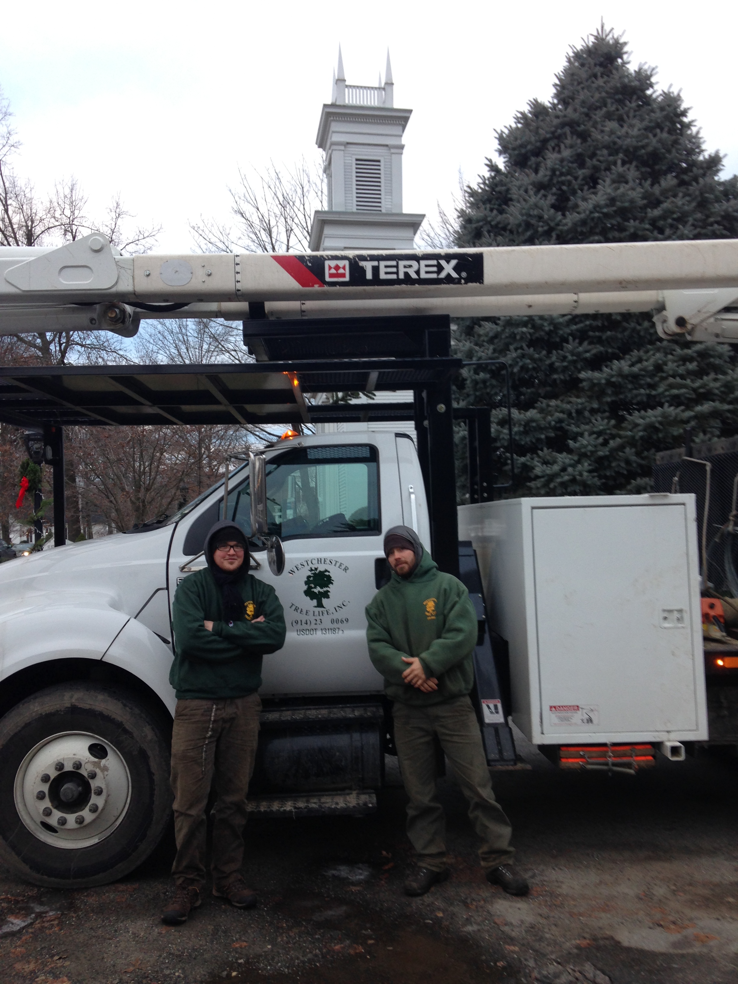 Armonk Tree Service Westchester Tree Life