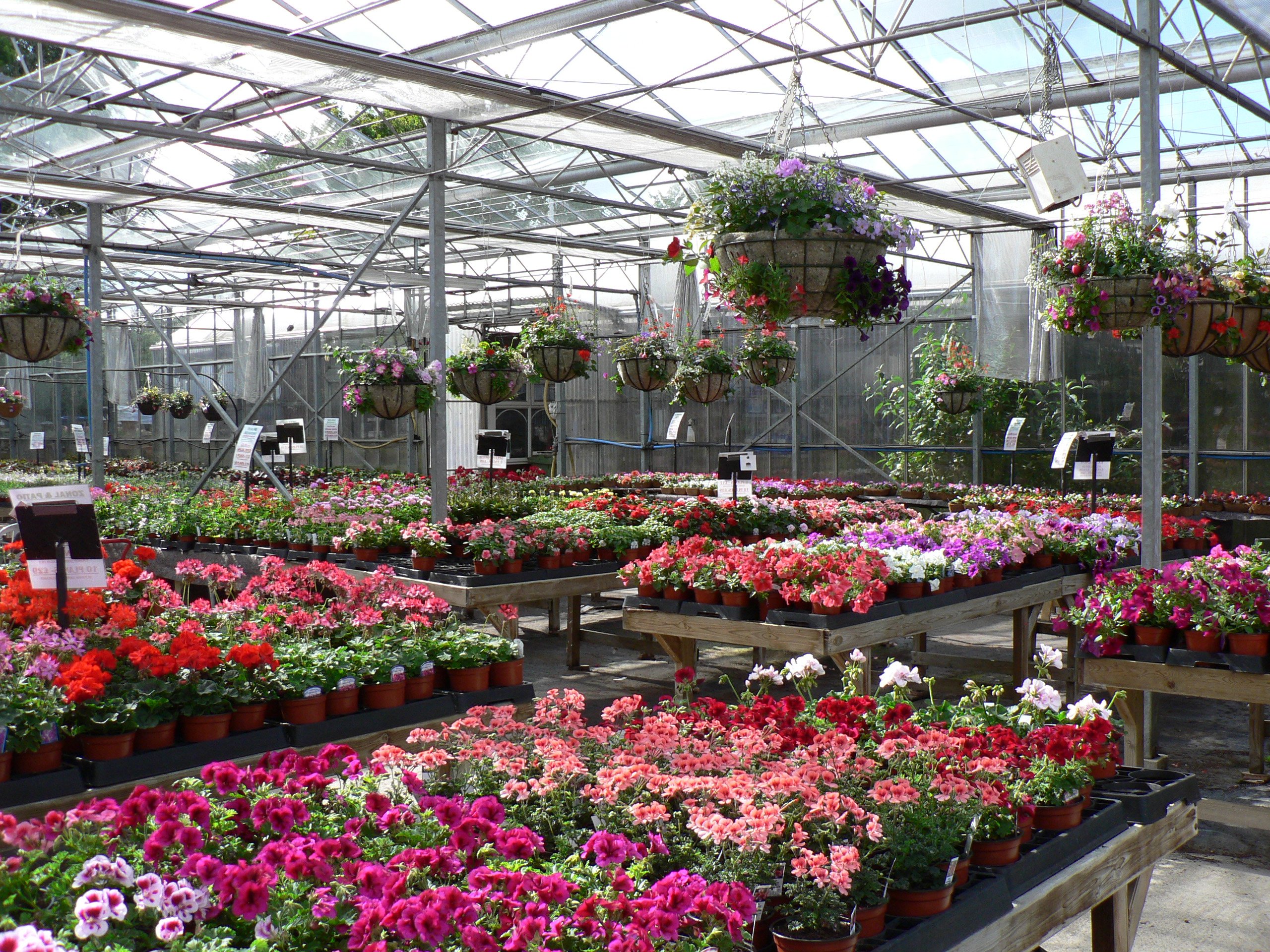 West Chiltington The Village Nurseries, serving Storrington, Bury