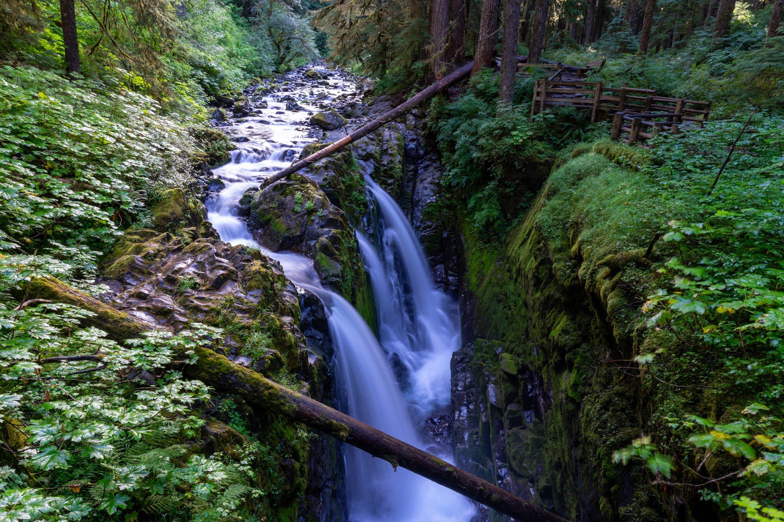 The park gets busy during this time. How to Plan a Perfect Olympic National Park Itinerary