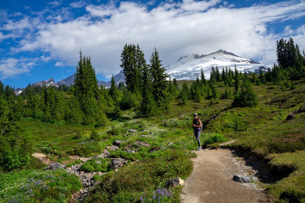 9 Amazing Hikes in North Cascades National Park