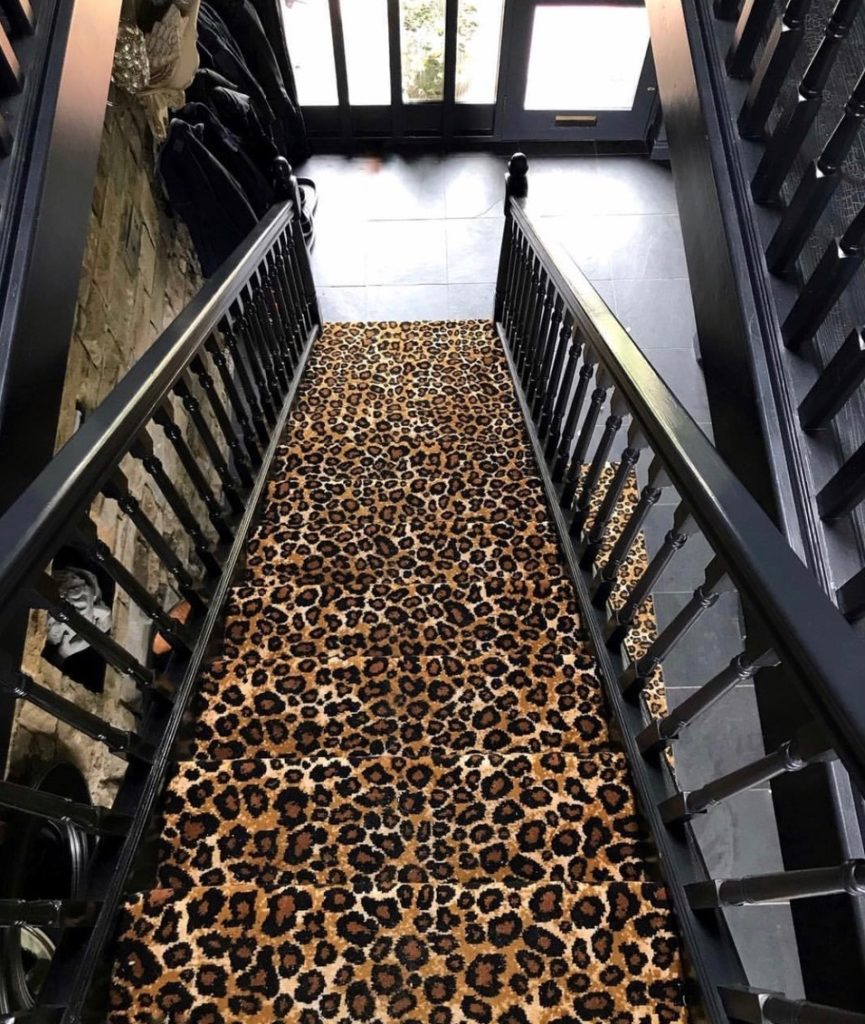 Animal Print Carpets West End Carpets