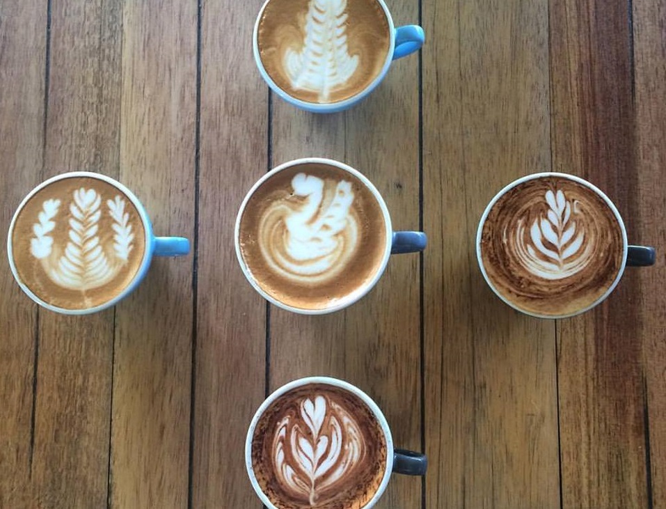 The Best Coffee Roasters in Brisbane West End Today