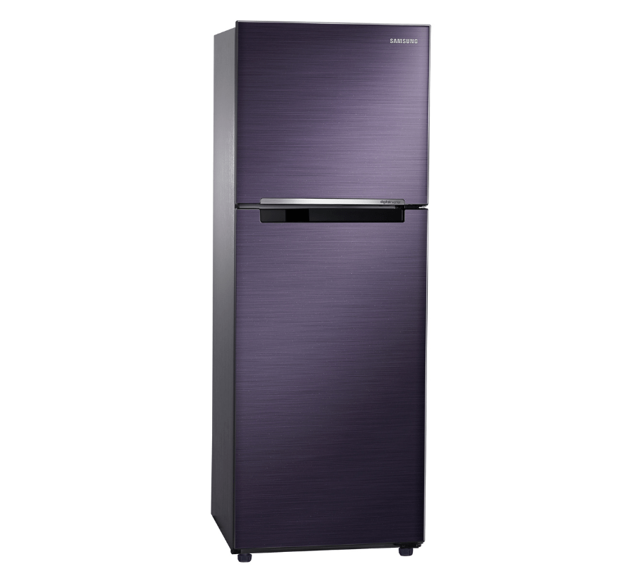 Samsung RT25FARBDUT Best Inverter Refrigerator Philippines