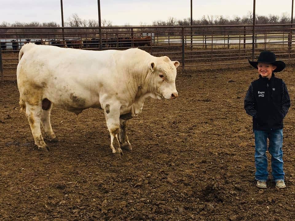 to Western Dakota Bank