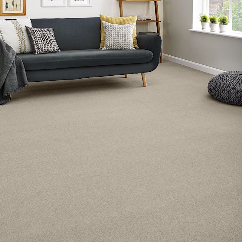 Quest Saturn Carpets Western Distributors