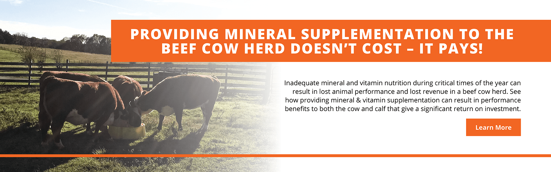 Home Western Feed Mills