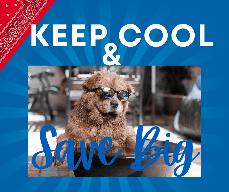 Keep Cool And Save Big On Your Summer AC Bill