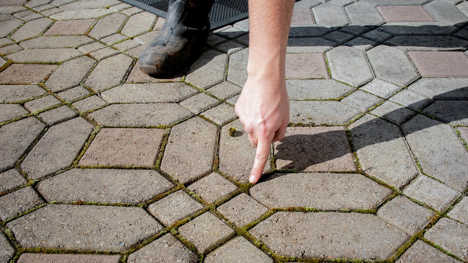 Benefits & Drawbacks of Using Polymeric Sand on Your Hardscape