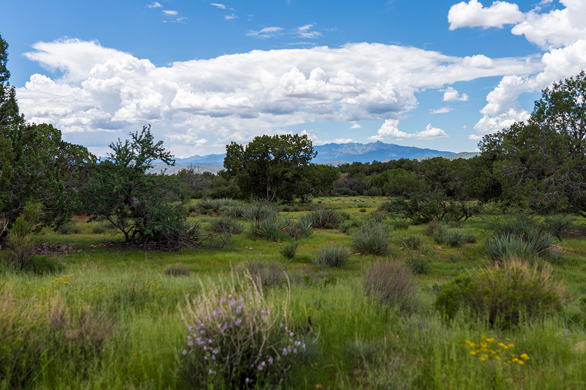 Greenwood Ranches Land Western Land and Ranches