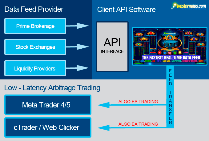 Electronic Trading Protocol API Forex Platform