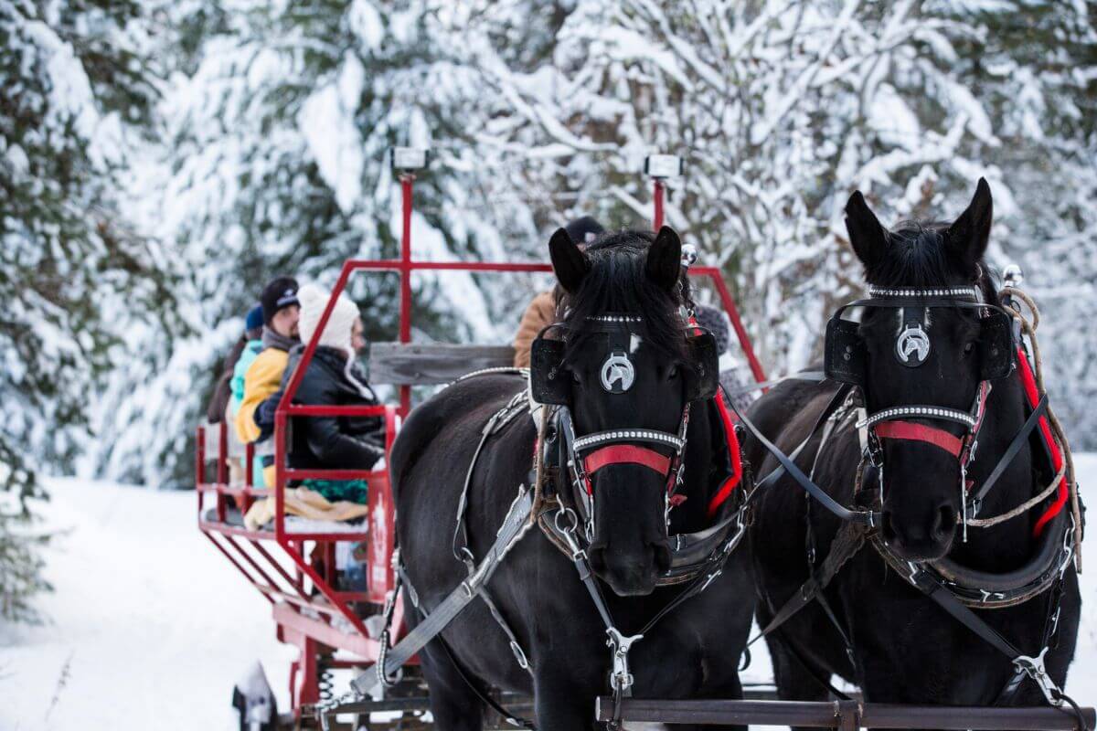 Idaho Sleigh Ride FAQ ⋆ Western Pleasure Guest Ranch