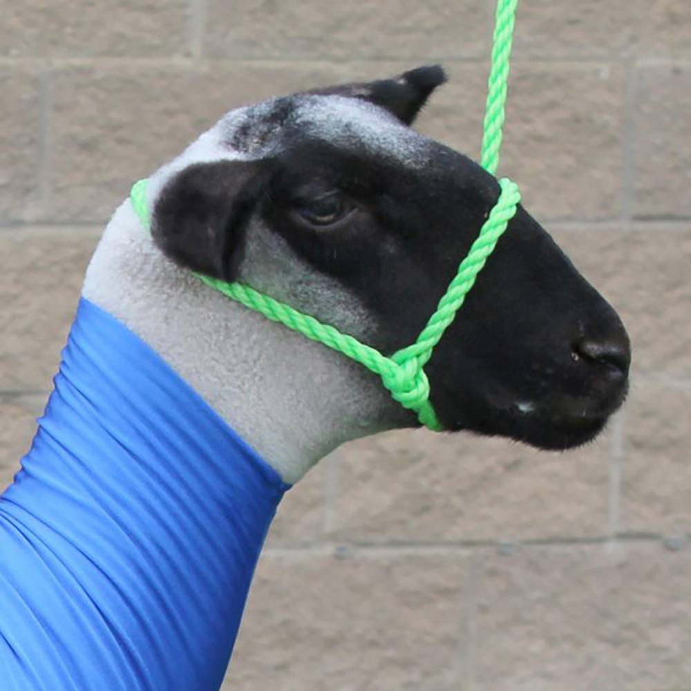 Sullivan Supply SHEEP/GOAT POLY ROPE HALTER WRS
