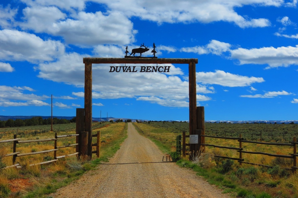 Shaffer Real Estate Shaffer Real Estate