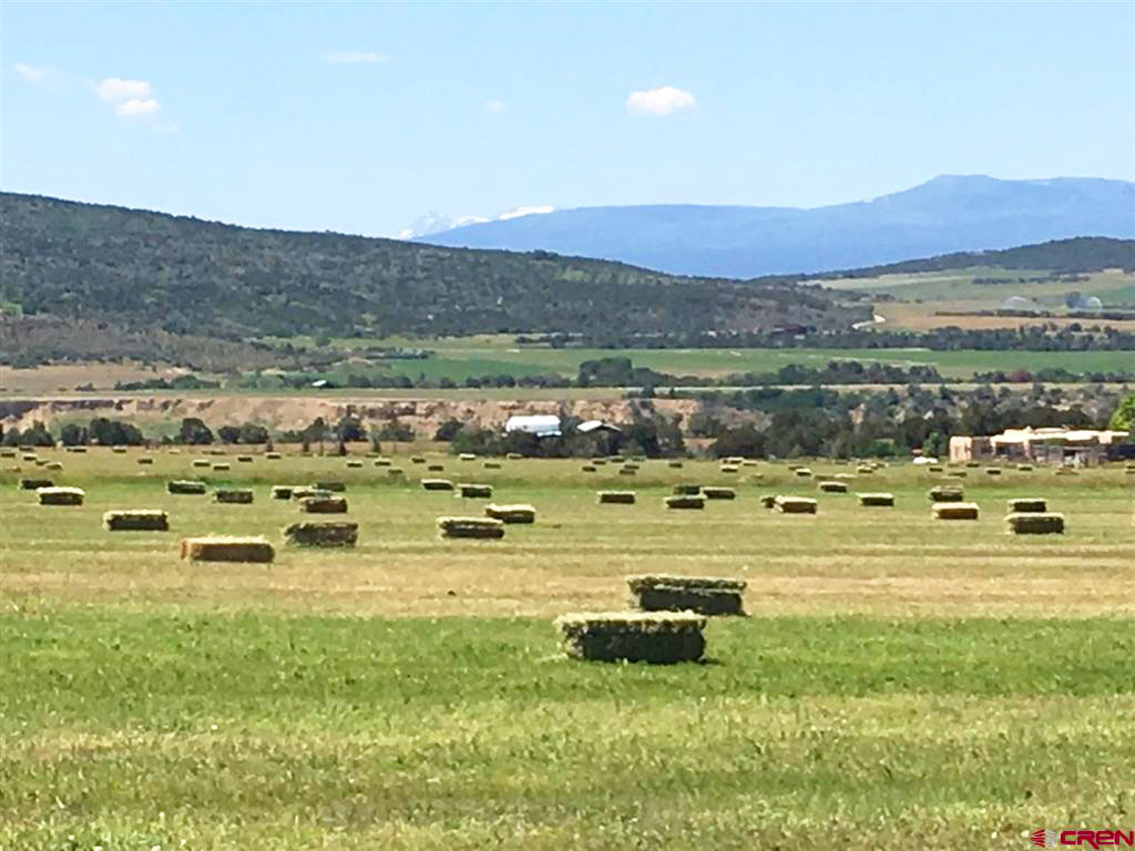 Shaffer Real Estate Shaffer Real Estate