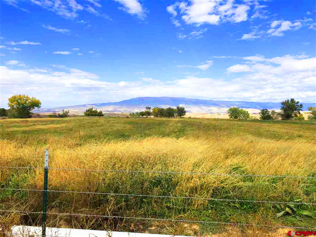 Shaffer Real Estate Shaffer Real Estate