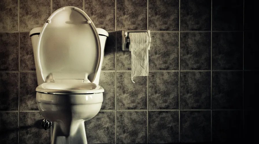 What Is Ghost Flushing And How Do You Stop It? Western Rooter