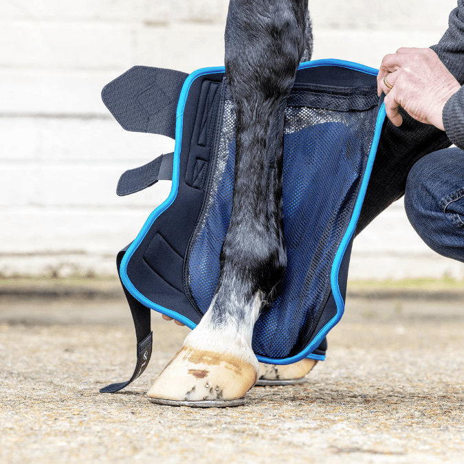 LeMieux Proice Freeze Therapy Boots Western Shoppe