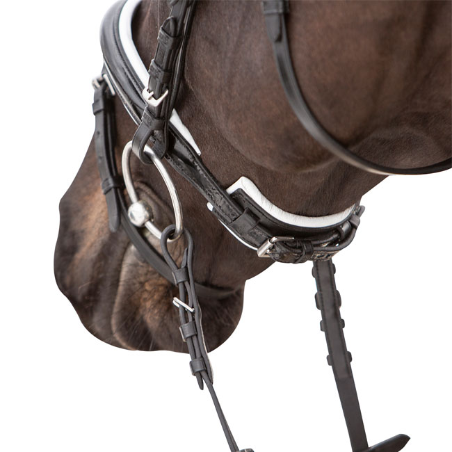 Kieffer Passion Saint Ettiene II Snaffle Bridle Western Shoppe