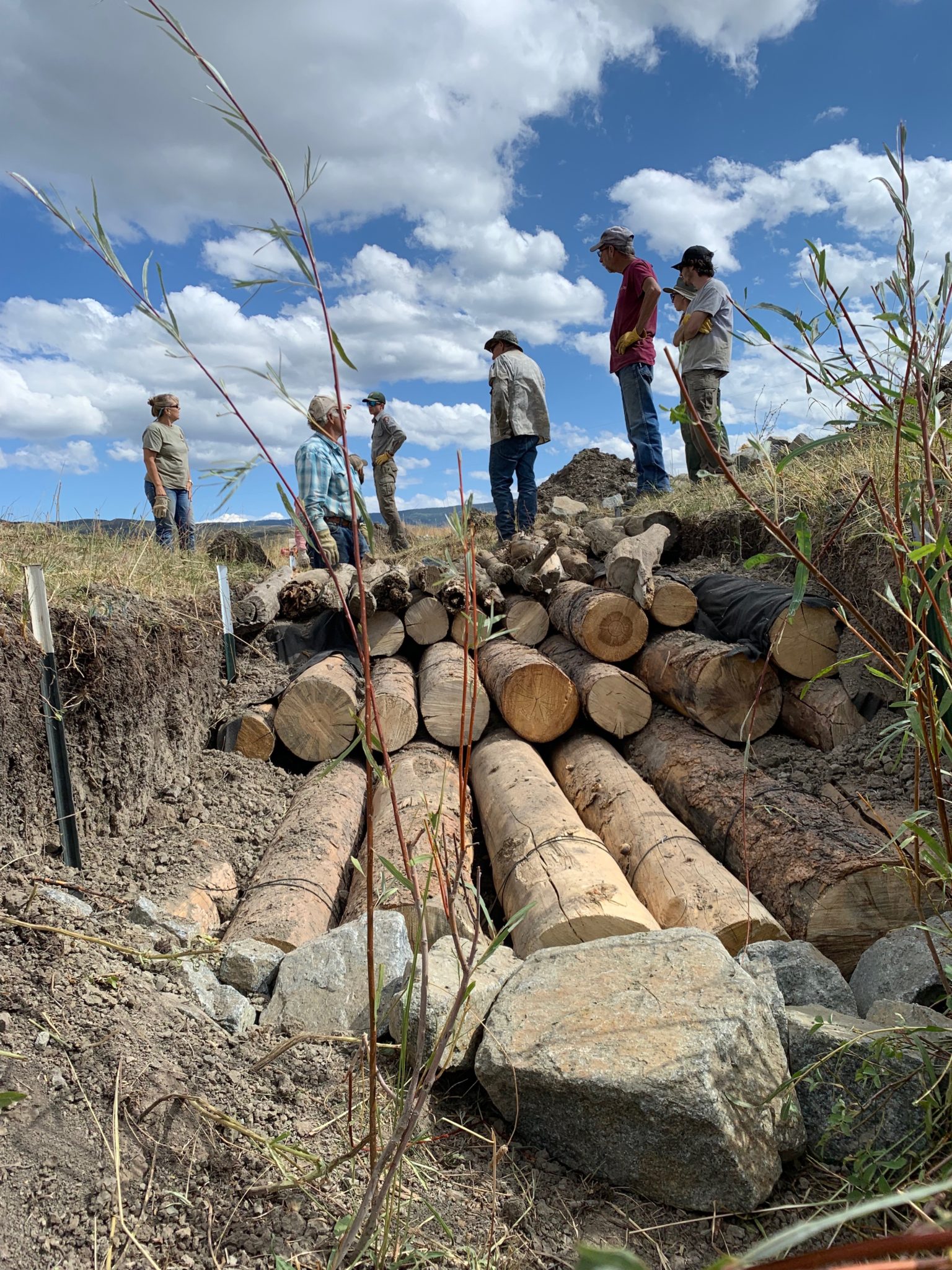 Habitat Mitigation at Gould Reservoir Western Slope Conservation Center