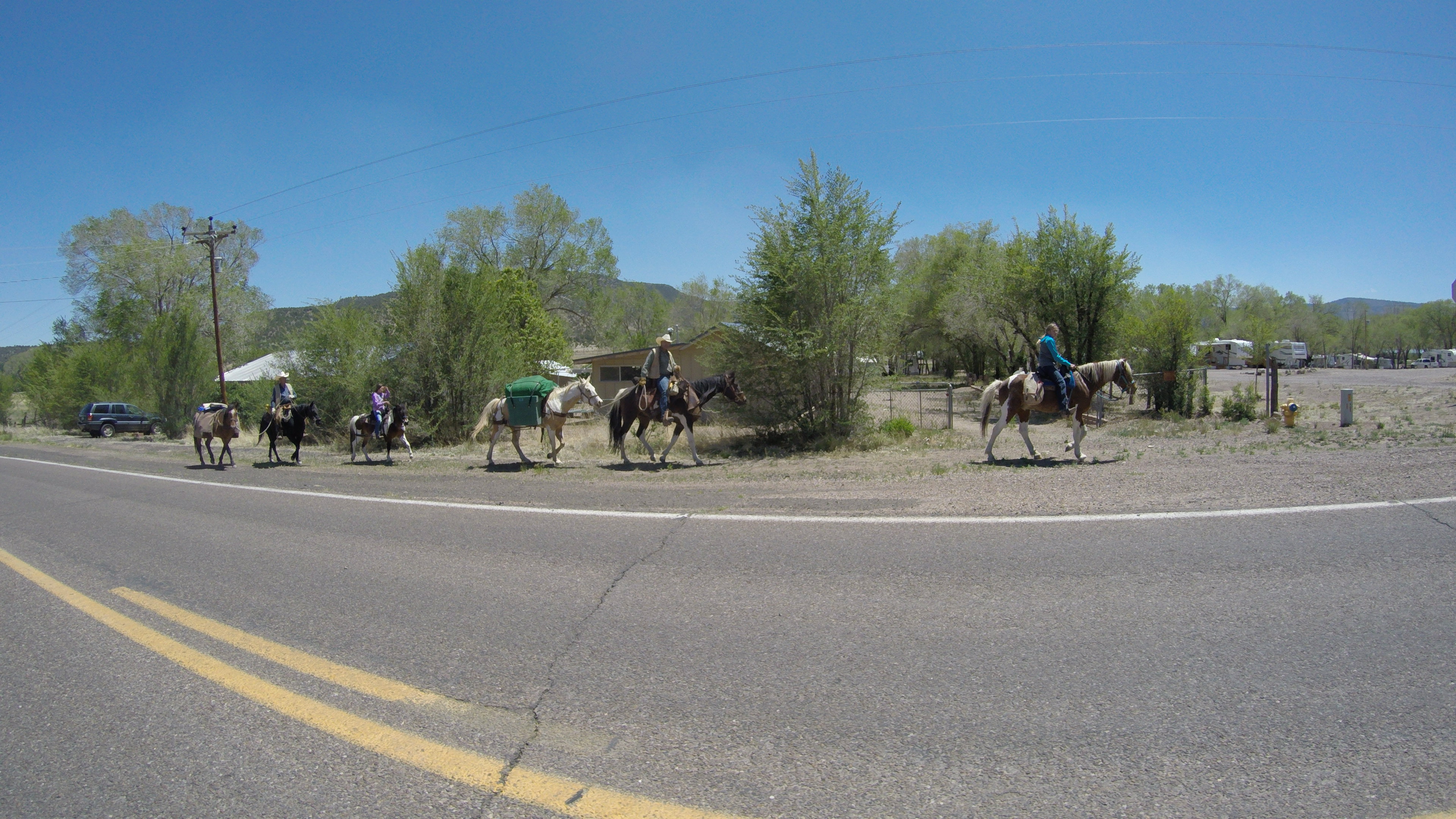 Tony’s Great Western Trail Ride Western Trail Rider For horse and