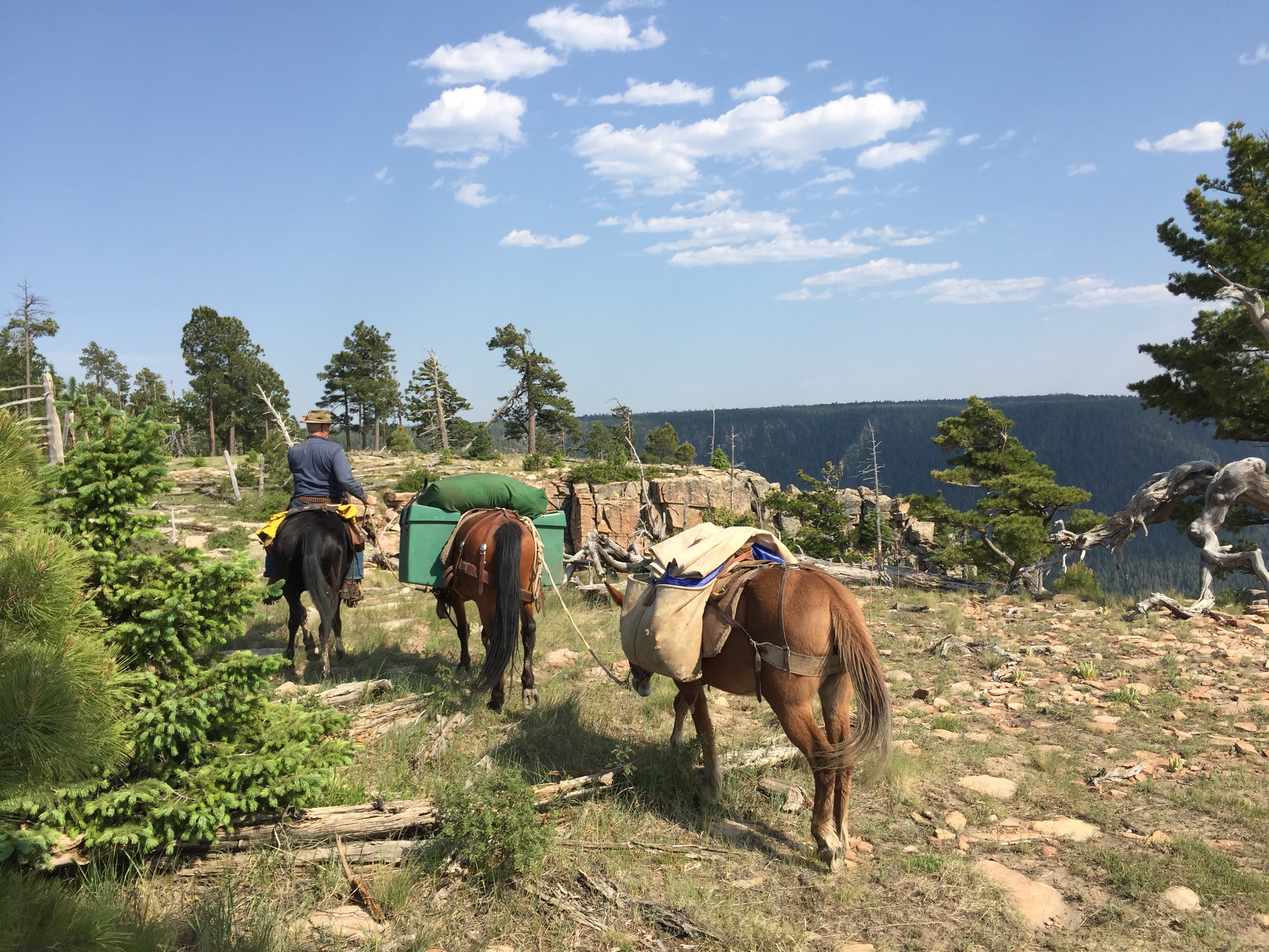 Personal Camp Gear for Horse Packing Western Trail Rider