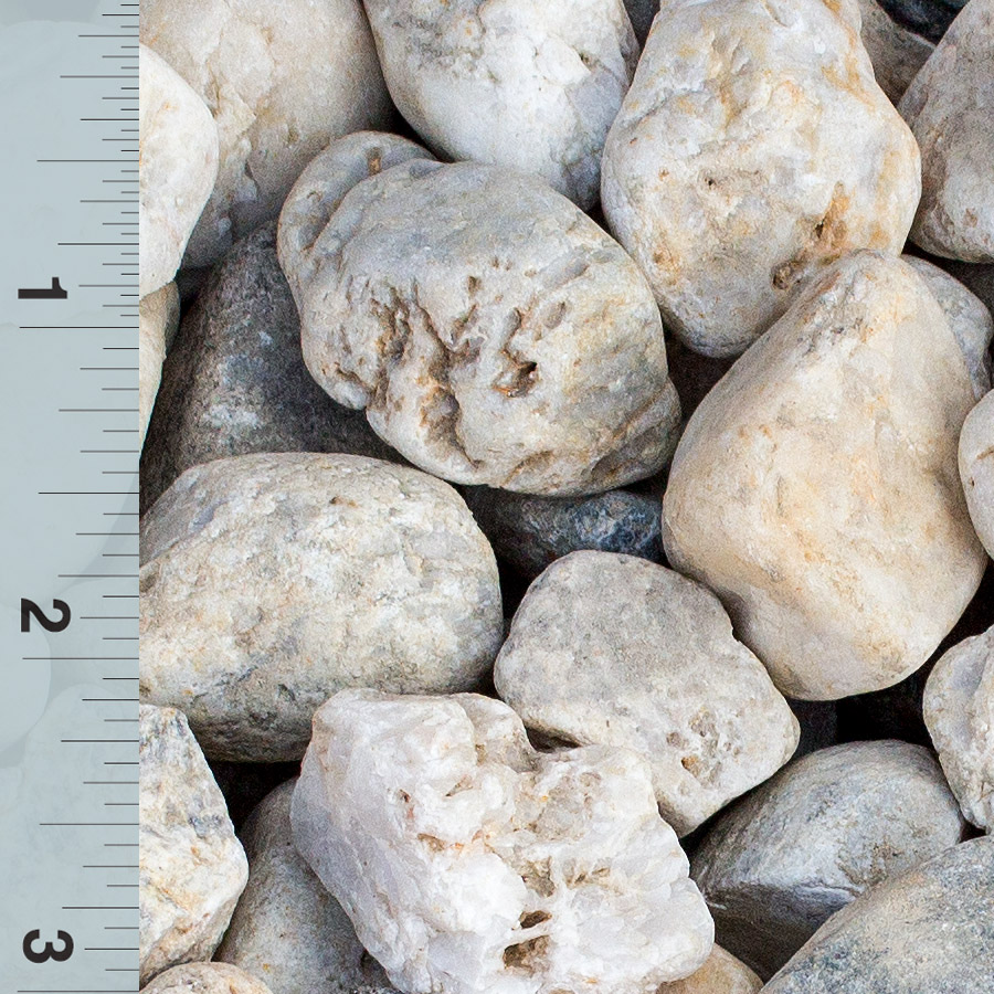 Salt & Pepper 1″ x 1 1/2″ Western Turf