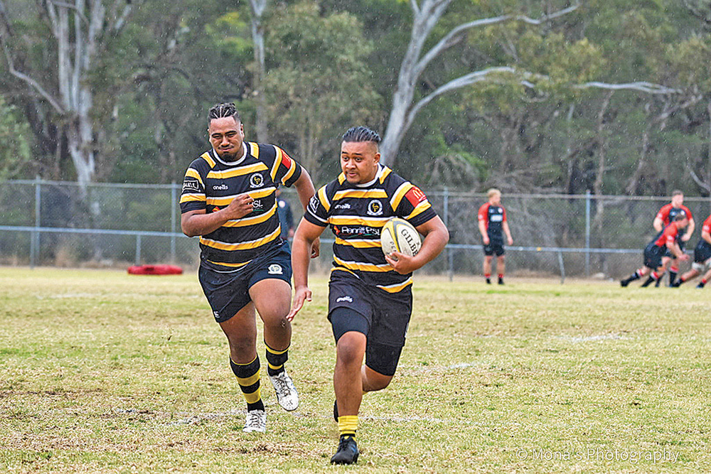 Penrith Emus on outer again as exit from John I Dent Cup confirmed