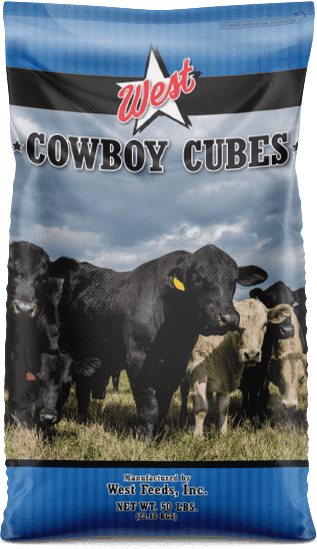 7/8" Cowboy Cube with 20 Protein West Feeds, Inc.