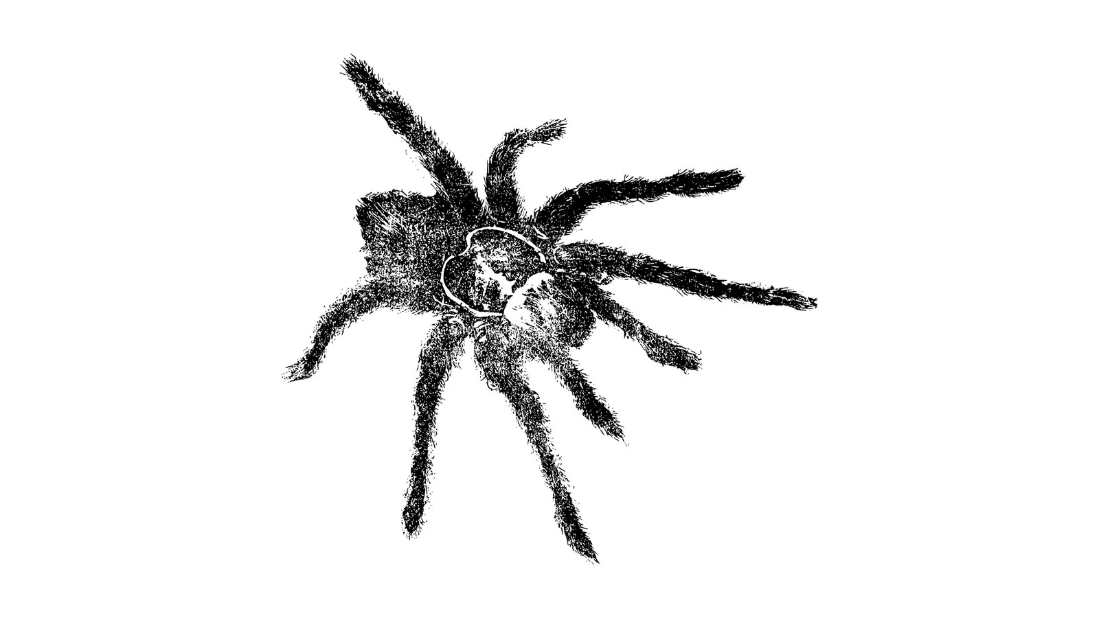 Westfort Pest Control Guelph