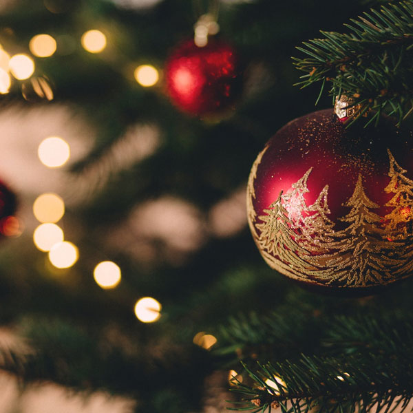 Best Family Christmas Vacations Westgate Resorts Packages & Deals