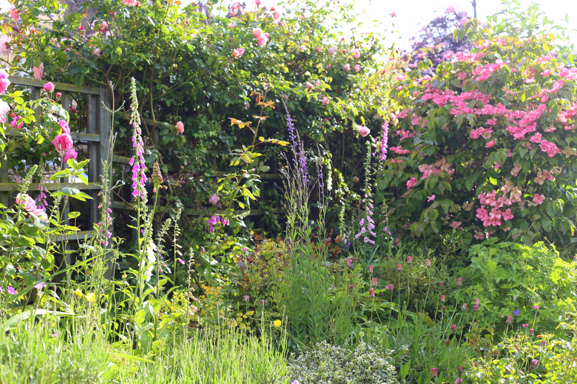 Calverley back on the gold track with super summer display West Leeds