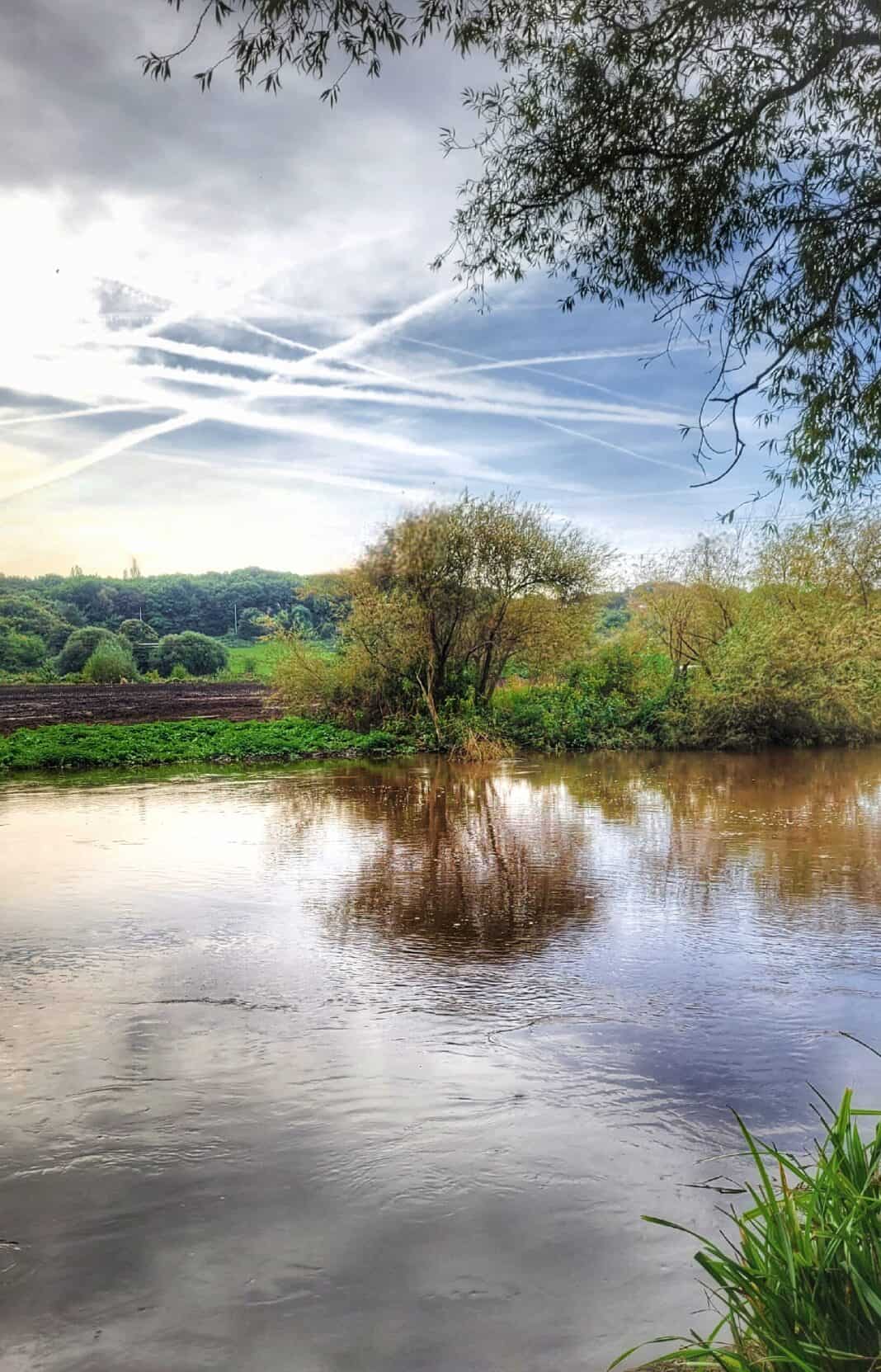 In photos A beautiful autumn Saturday in Kirkstall Hill, the Goit and