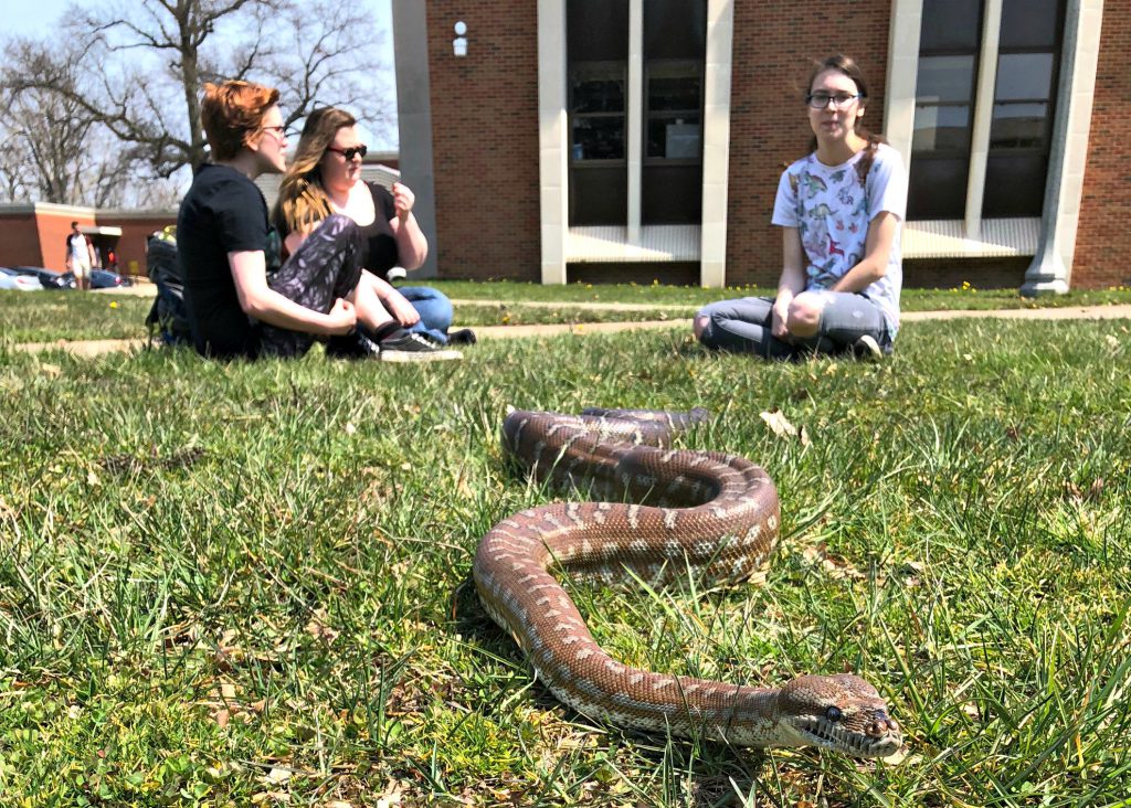 Animal Science Careers Zoo Management Jobs WLU ZOOsci