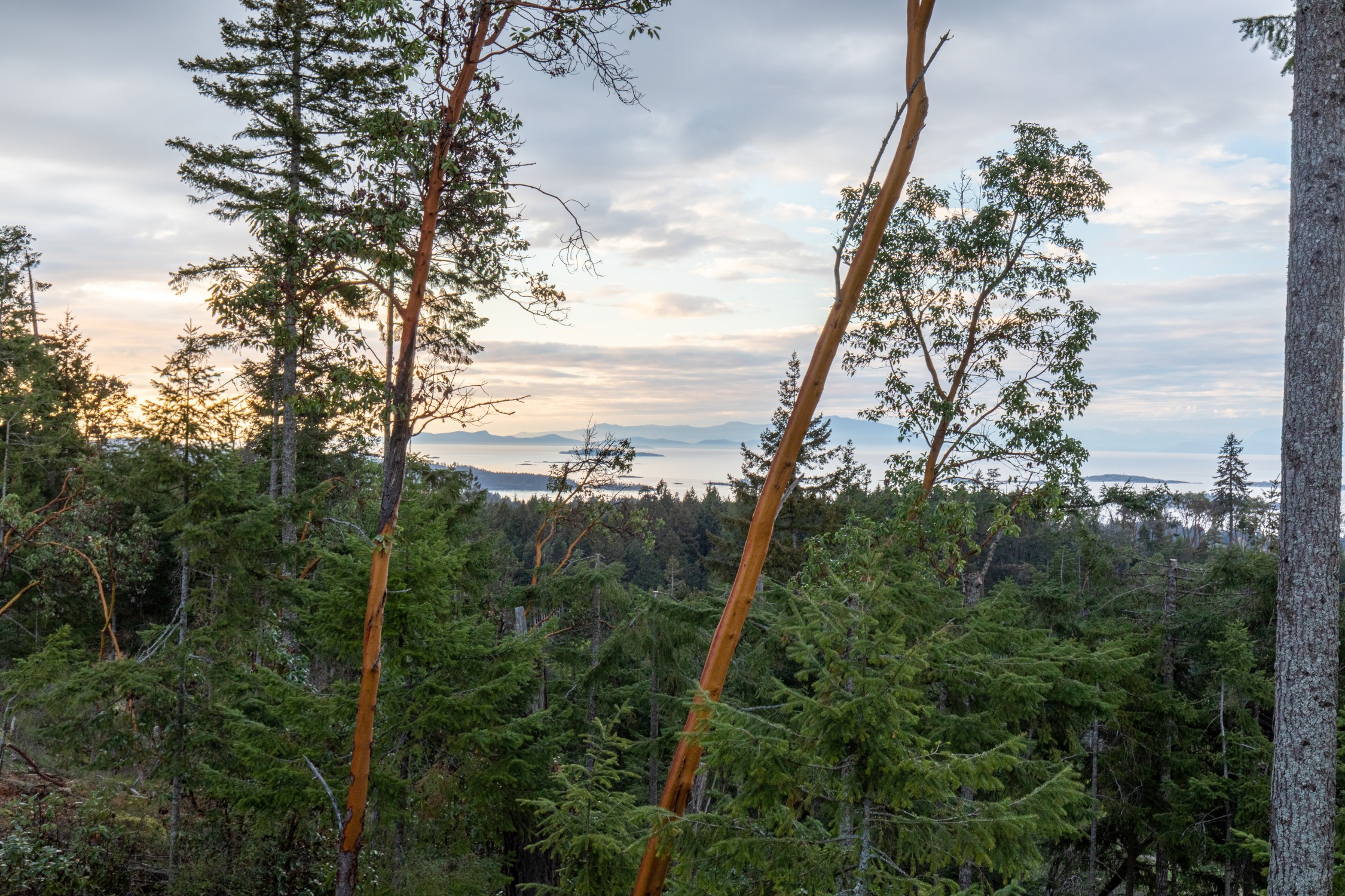 Nanaimo General Contractor Home Builder at Lantzville Foothills