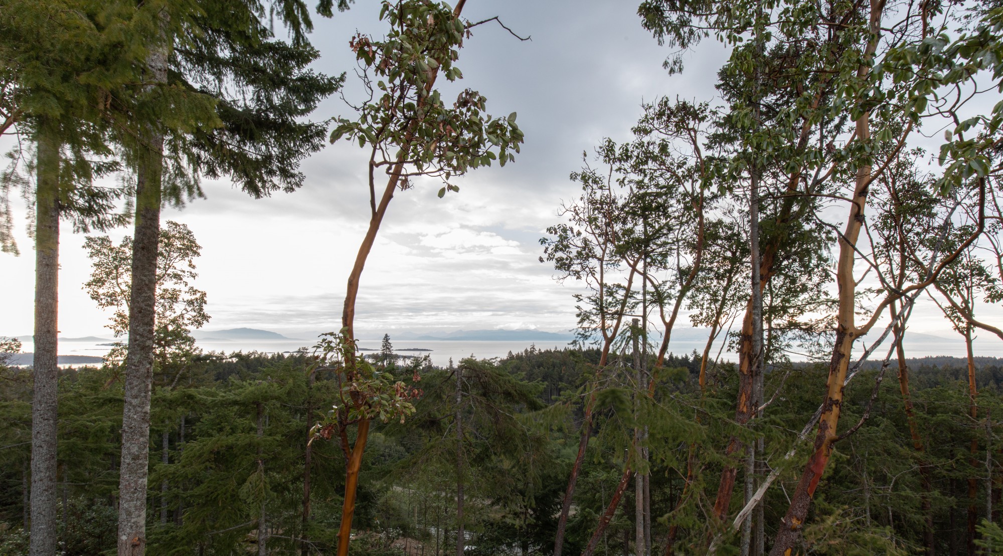 Custom home Builder The Lantzville Foothills Westmark Construction