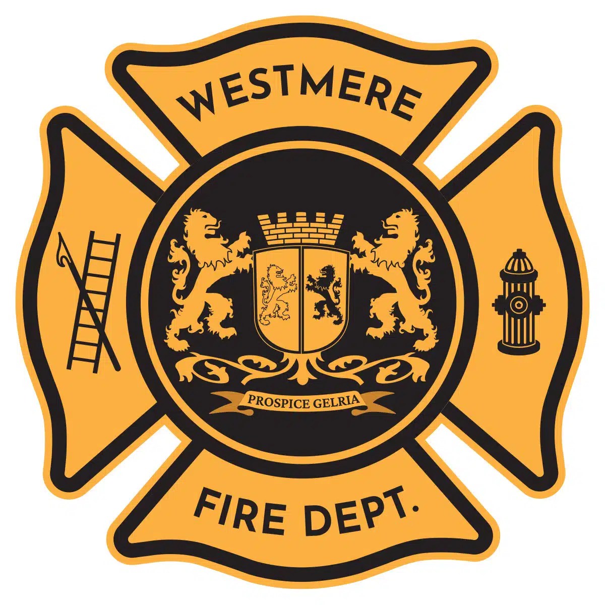 Officers Westmere Fire Department