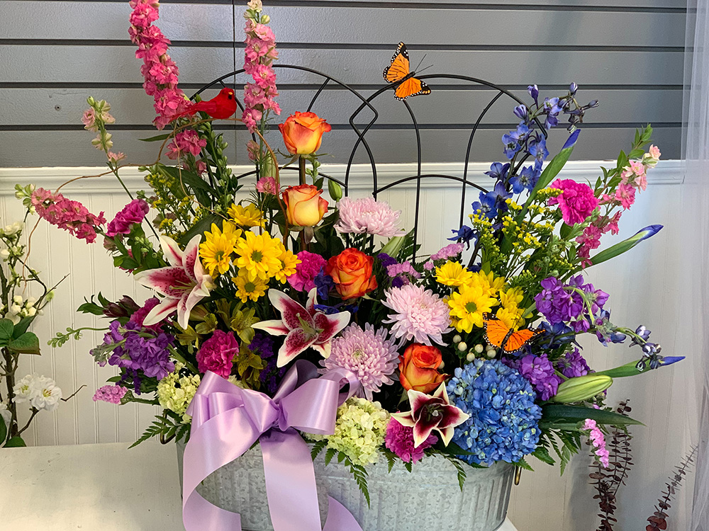 Bela Flowers Pic Best Flower Site