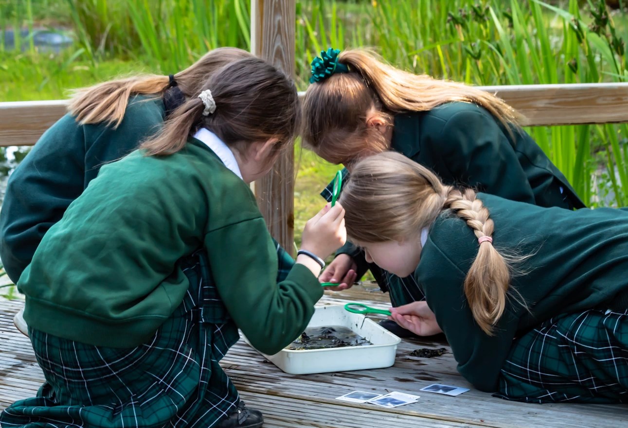 West Moors Middle School