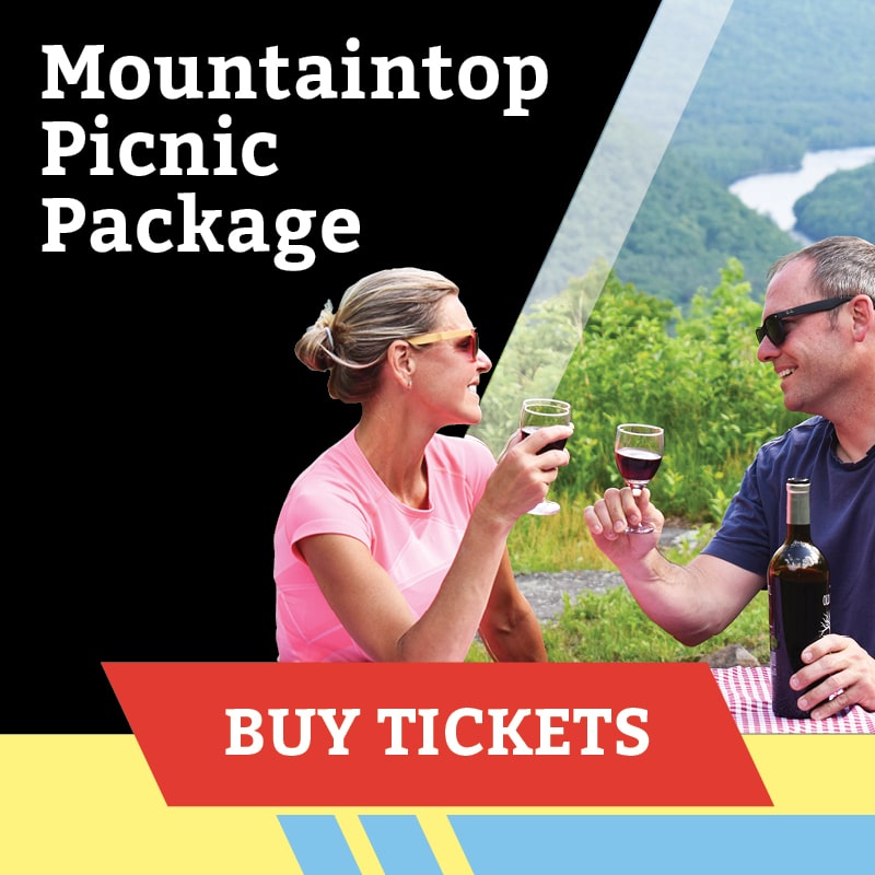 Mountaintop Picnic Packages West Mountain