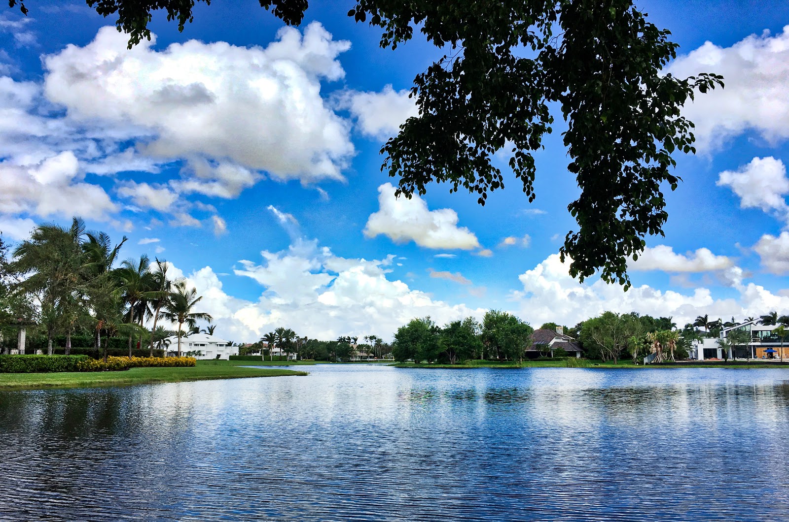 Windmill Ranch Estates Establishment Weston Local Guide Powered