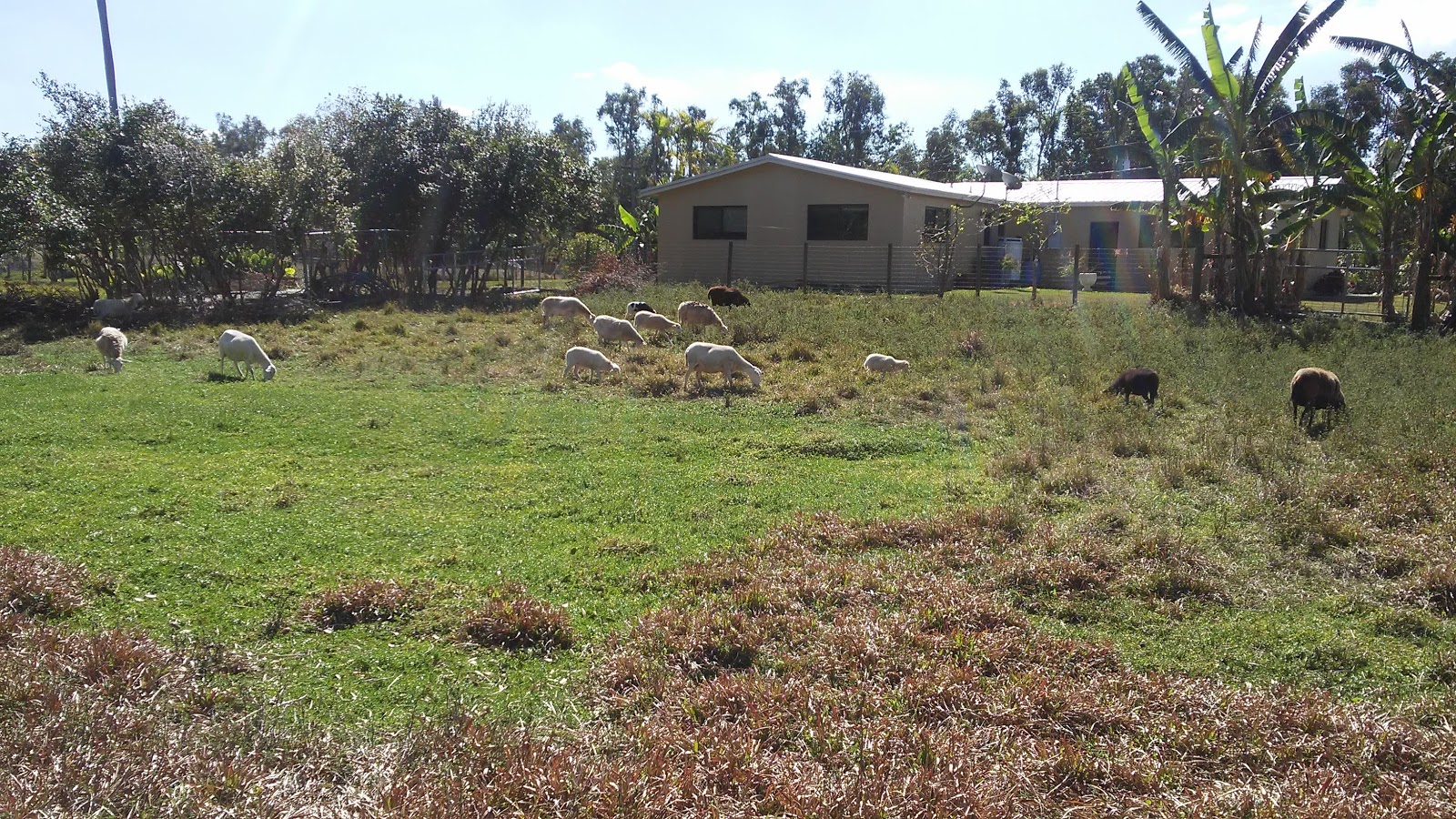 Sunshine Ranches Equestrian Park Southwest Ranches, Florida