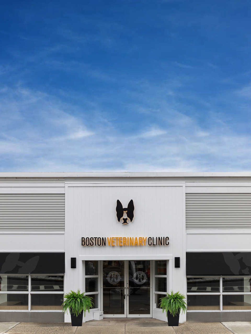 Boston Veterinary Clinic Opens in Weston South (aka Wellesley) Weston Owl