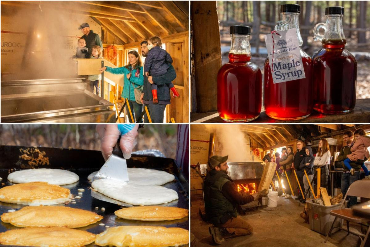 Land’s Sake Sugaring Off Festival March 25 at the Sugar House