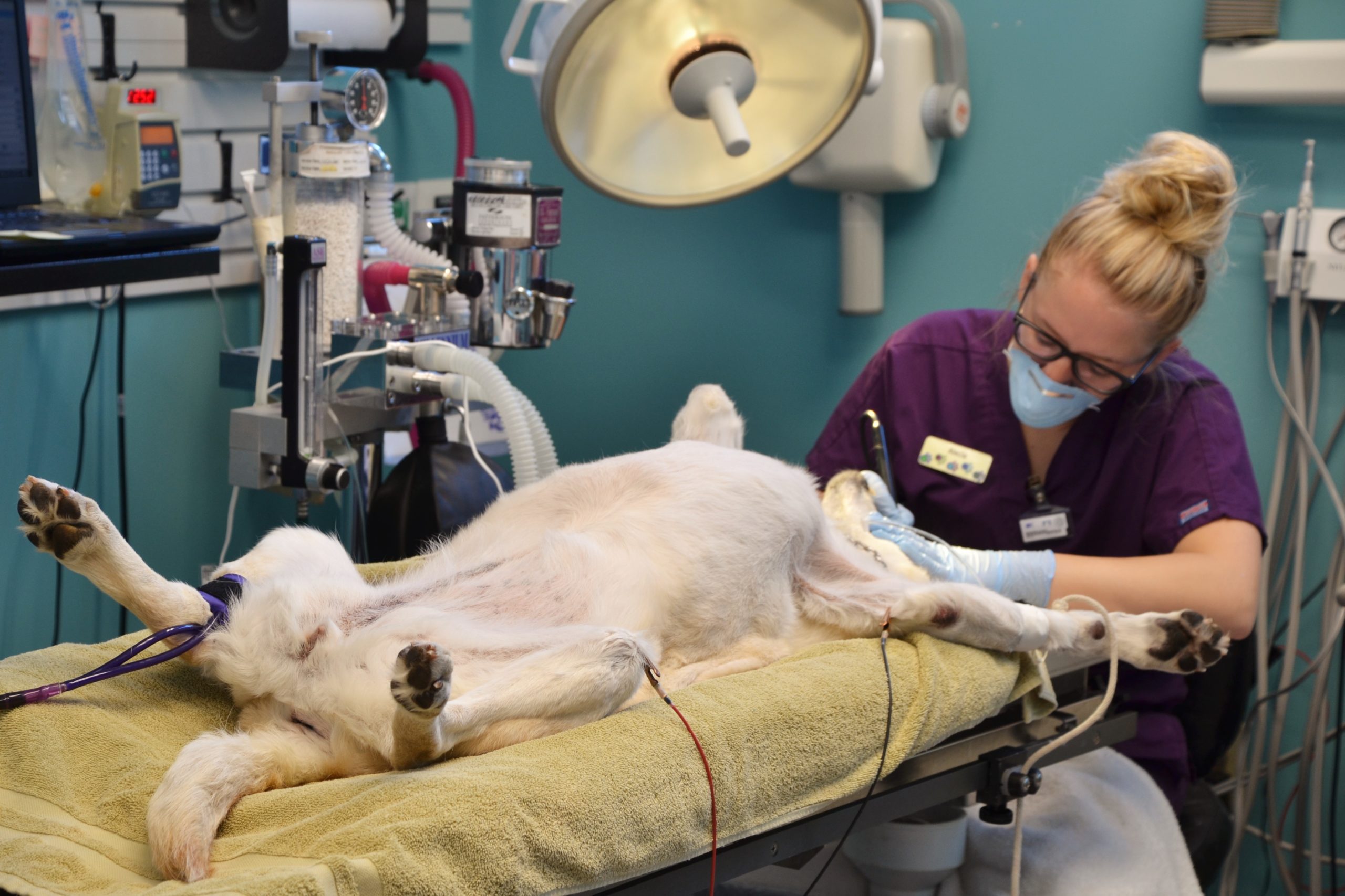 Take a Tour of our Salem, Wisconsin Veterinary Hospital!