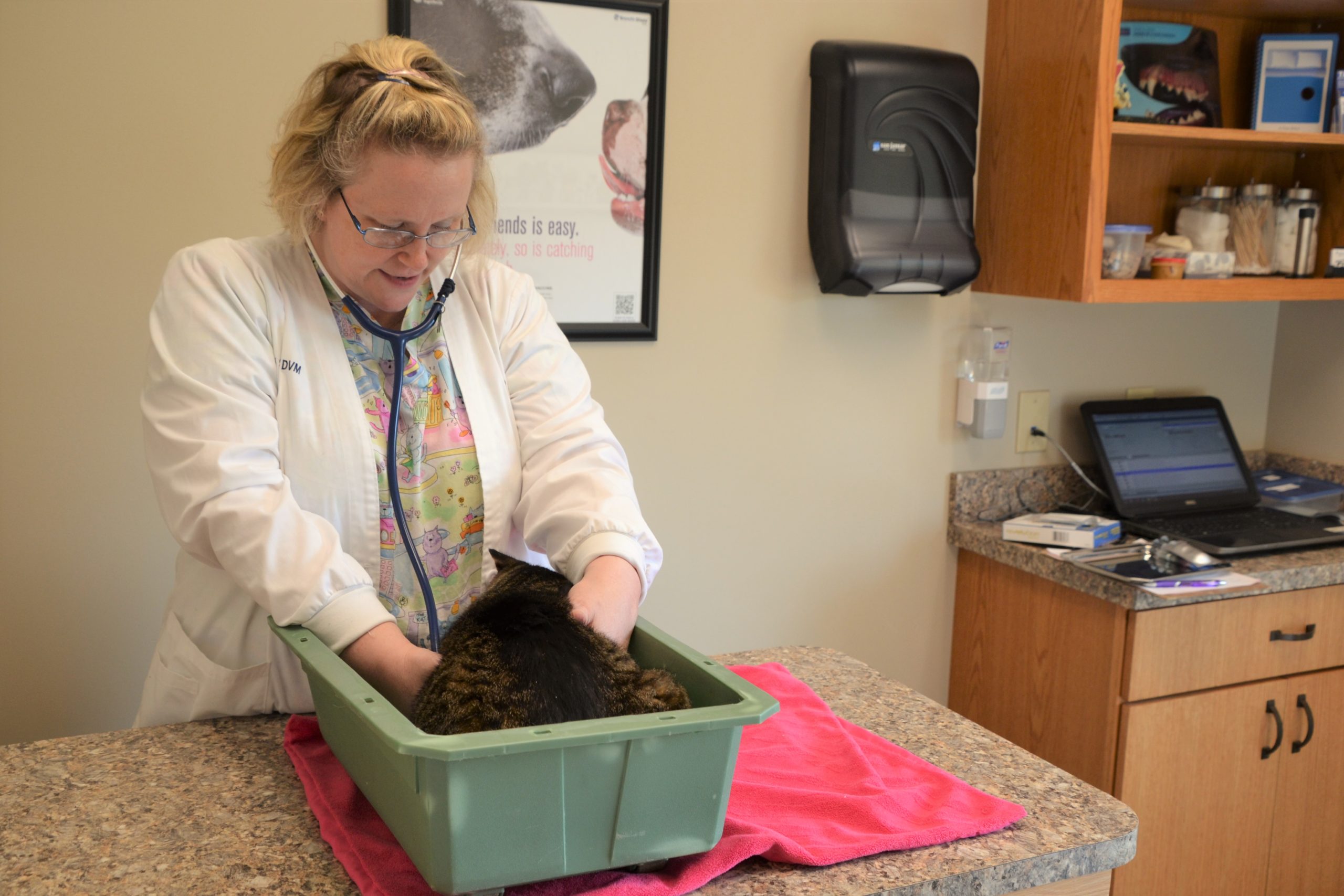 Take a Tour of our Salem, Wisconsin Veterinary Hospital!