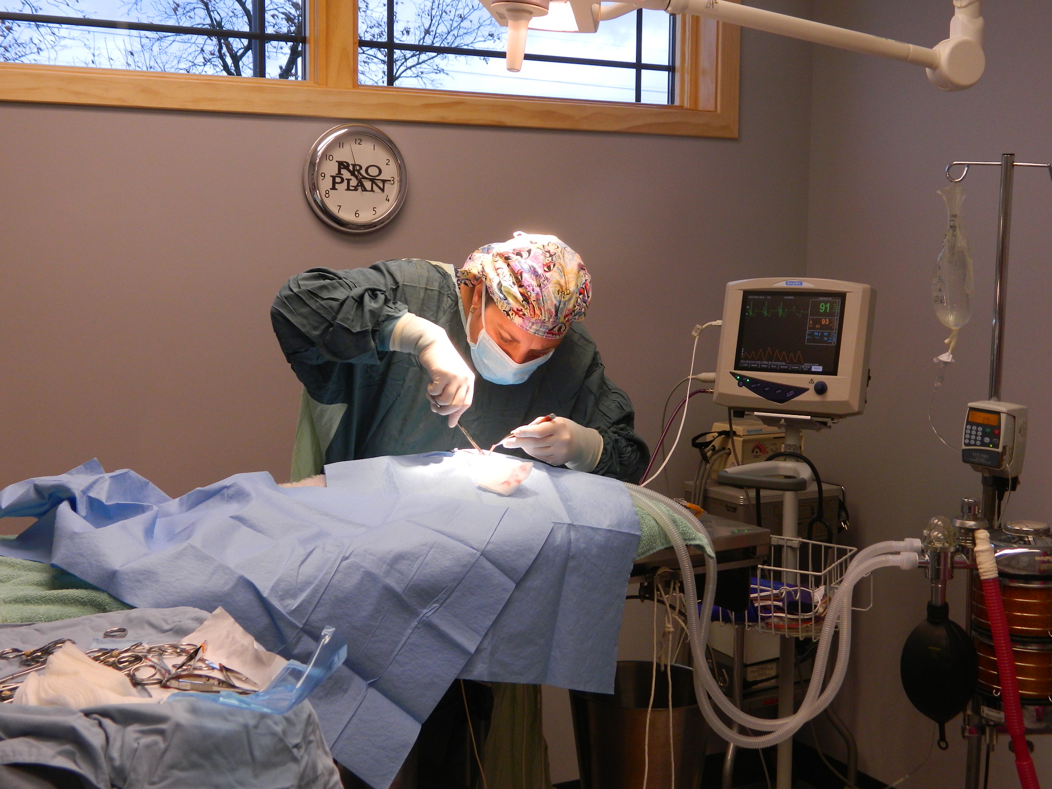 Take a Tour of our Salem, Wisconsin Veterinary Hospital!