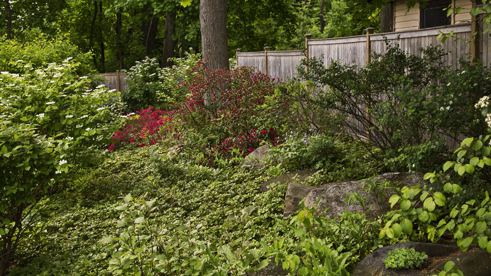 Westover Portfolio Sterling Avenue, White Plains, NY Westchester County