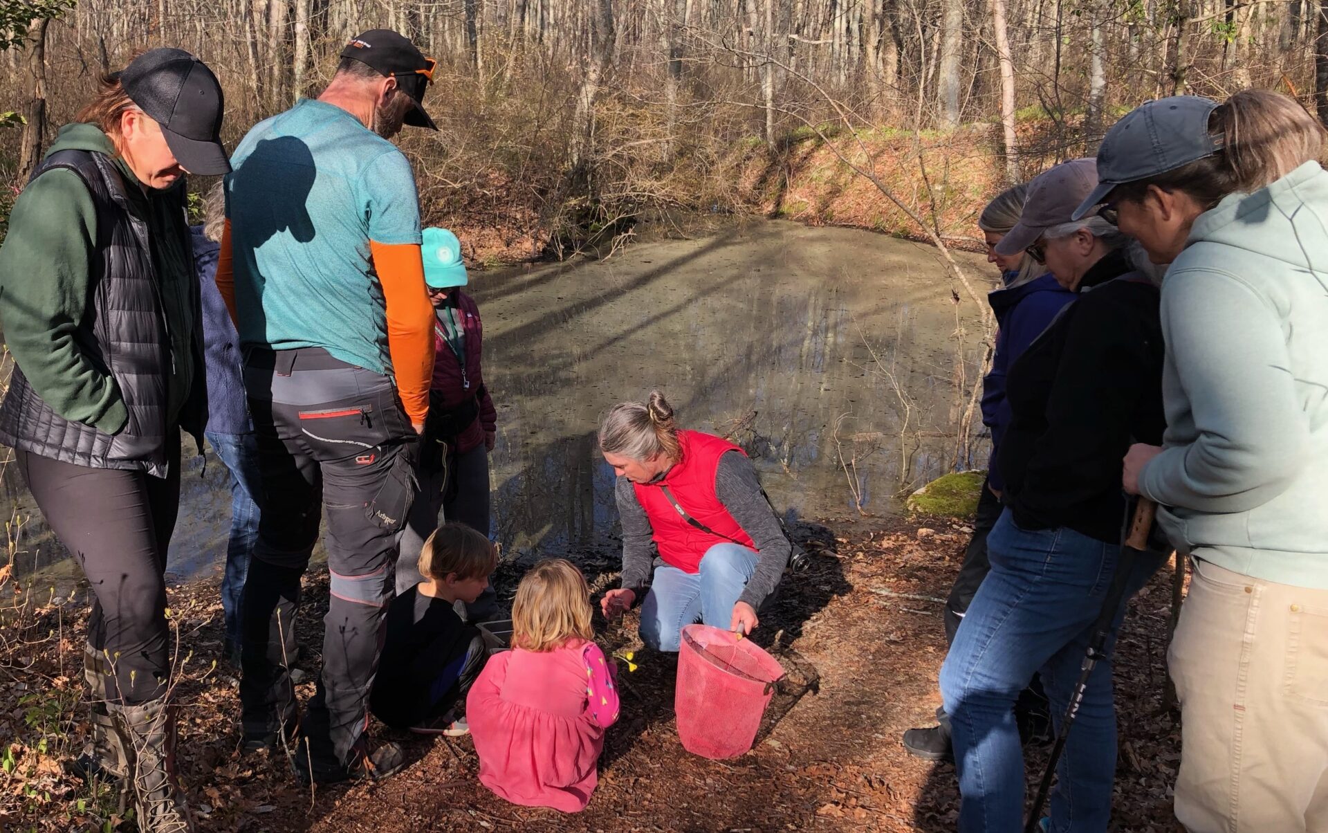 Vernal Pool Exploration Westport Land Trust